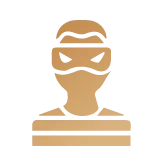 Theft & Property Crimes